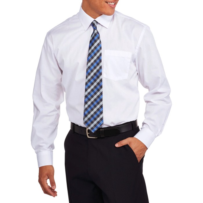 Mens dress shirt vest and tie