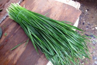 Chives