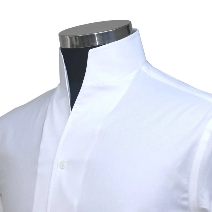 Men's dress shirt wide collar