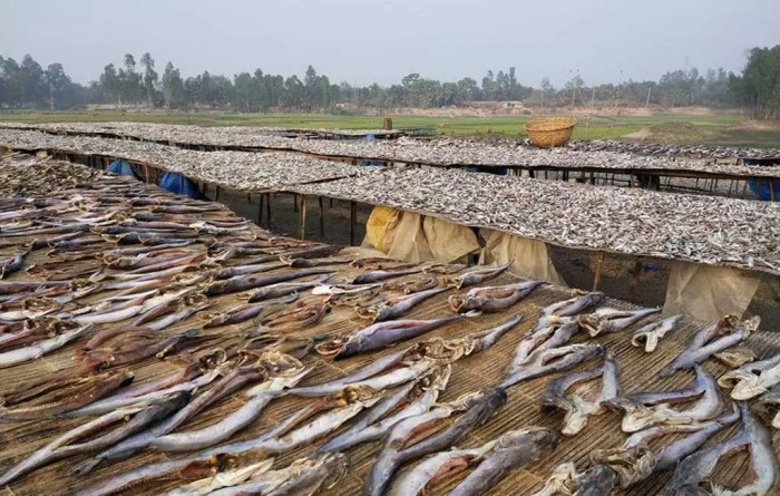 How to cook dry fish in bengali style