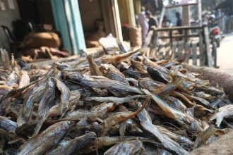 How to cook dry fish in bengali style